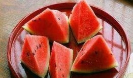 北中医东院吃瓜,校园生活的一抹趣味风景