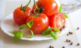 带你吃瓜之精品番茄