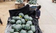 湘乡吃瓜事件真相