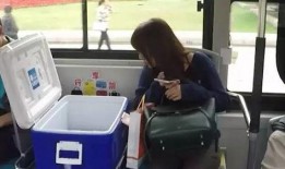 吃瓜乘客,一场网络现象的全民狂欢