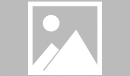 吃瓜 杨千嬅,吃瓜群众的甜蜜滋味