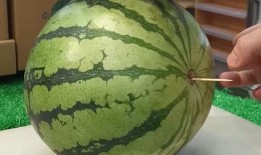 山东改编音乐吃瓜