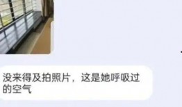 吃瓜学校表白墙,表白墙上的甜蜜与酸涩