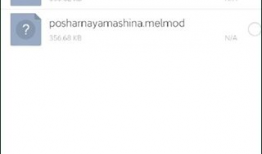 鄂州吃瓜文件 迅雷,揭秘背后真相与反思