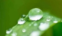 白露过了还吃瓜吗,秋季食瓜指南