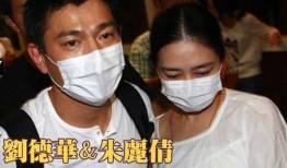 单身人士吃瓜,揭秘单身人士的美食世界