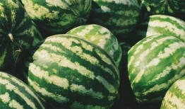 带眼吃瓜,揭秘娱乐圈背后的真相与八卦