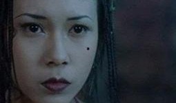 吃瓜少女白晶晶