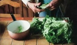 吃瓜还是吃青菜容易胖,揭秘吃瓜还是吃青菜更容易发胖