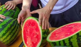 最近学校吃瓜,揭秘最近学校吃瓜大事件！”