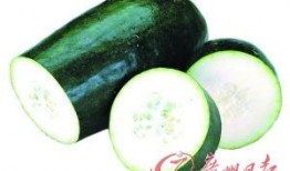 鲜花吃瓜,探寻鲜花与吃瓜的奇妙交融