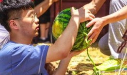 口袋吃瓜,揭秘娱乐圈幕后故事