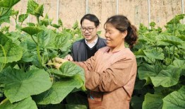 汕头新吃瓜事件,揭秘网络热议背后的真相与争议