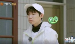 王源吃瓜姑,揭秘娱乐圈背后的真相