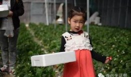 青州董博文吃瓜,揭秘背后真相与网络舆论风暴