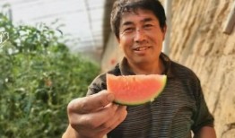 济南商河吃瓜事件,一场引发社会关注的误会风波