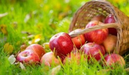 苹果吃瓜软件最新,揭秘娱乐圈幕后真相，带你走进明星生活