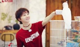 王源吃瓜姑,揭秘娱乐圈背后的真相