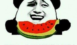 吃瓜小谈,揭秘娱乐圈幕后故事