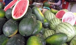 广西吃瓜自由,畅享夏日“吃瓜自由”，解锁地方特色美食之旅