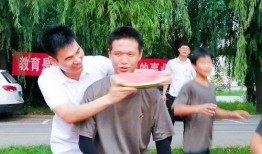 吃瓜推土机,揭秘娱乐圈背后的真相与笑料