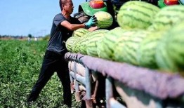 汕头新吃瓜事件,揭秘网络热议背后的真相与争议