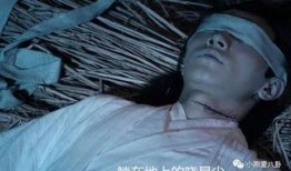 陈情令替身吃瓜