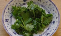 吃瓜吃到自家白菜,吃瓜吃到自家白菜的尴尬瞬间