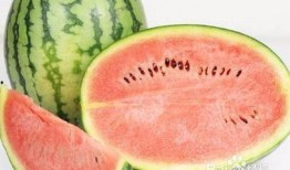 吃瓜拉圈,网络社交新潮流