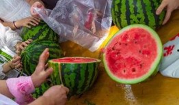 最可怕的吃瓜视频,揭秘最恐怖的吃瓜视频背后的惊人真相