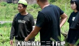 不如再去田里摘个瓜吃,不如再去田里摘个瓜，享受自然美味