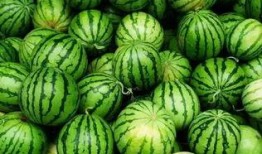 吃瓜管理群,网络社交新现象背后的故事