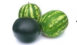 庵埠吃瓜事件,一场引发热议的网络风波揭秘