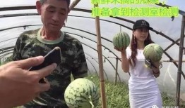 吃瓜群众报道直播,吃瓜群众视角下的娱乐圈风云