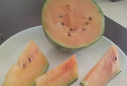 这个暑假吃瓜总结