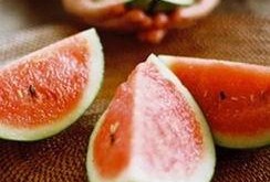 鲜花吃瓜,探寻鲜花与吃瓜的奇妙交融