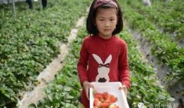 青州董博文吃瓜,揭秘背后真相与网络舆论风暴