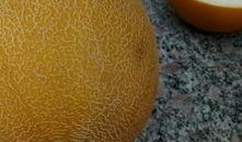 缴瓜怎么吃,解锁瓜果新吃法