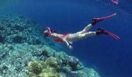 资深潜水吃瓜王者,揭秘水下世界的神秘与趣味