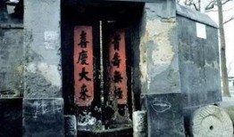 大杂院快乐吃瓜日常,大杂院里的欢乐瓜果时光