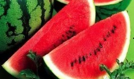 西瓜种植多久可以吃瓜,从播种到品尝的奇妙旅程