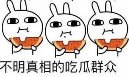 吃瓜小谈,揭秘娱乐圈幕后故事