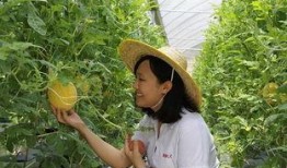 青州董博文吃瓜,揭秘背后真相与网络舆论风暴