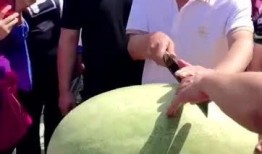 当吃瓜群众的感受,揭秘吃瓜群众的欢乐与困惑