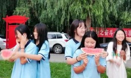 吃瓜推土机,揭秘娱乐圈背后的真相与笑料