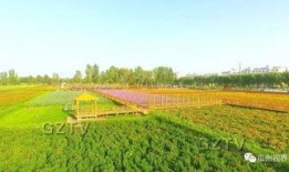 吃瓜三道沟,一场味蕾与自然的邂逅之旅