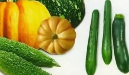 吃瓜率,揭秘娱乐圈背后的“瓜田”风云