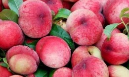 委屈 正是吃瓜的季节,揭秘夏季美食背后的感人故事