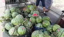 肥乡最新吃瓜事件,揭秘背后真相与网络热议