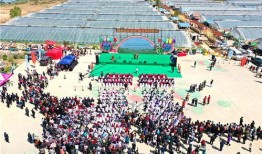 济南商河吃瓜事件,一场引发社会关注的误会风波